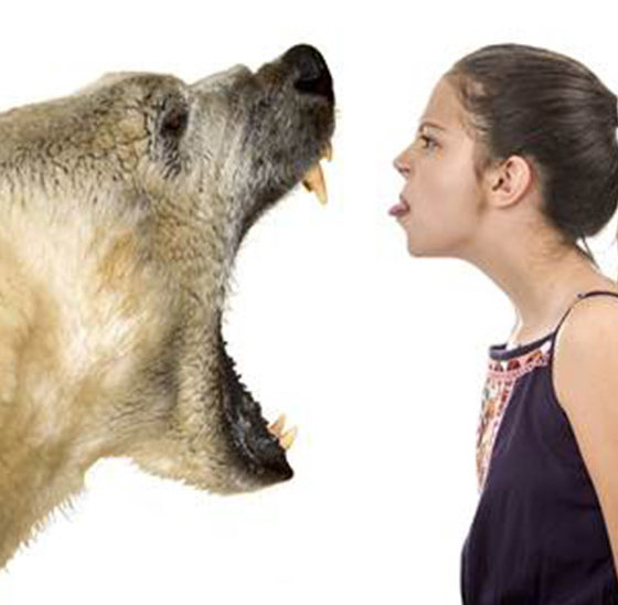 Se libérer de nos Peurs et de nos Phobies